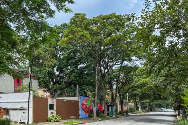 Imagem Terreno à Venda, em Alto De Pinheiros - São Paulo Imagem Terreno à Venda, em Alto De Pinheiros - São Paulo
