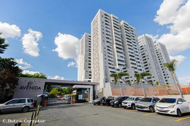 Imagem Apartamento com 2 Quartos à Venda, 48 m² em Vila Metalúrgica - Santo André Imagem Apartamento com 2 Quartos à Venda, 48 m² em Vila Metalúrgica - Santo André
