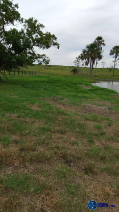 Imagem Chácara à Venda, 5 m² em Zona Rural - Mairipotaba Imagem Chácara à Venda, 5 m² em Zona Rural - Mairipotaba