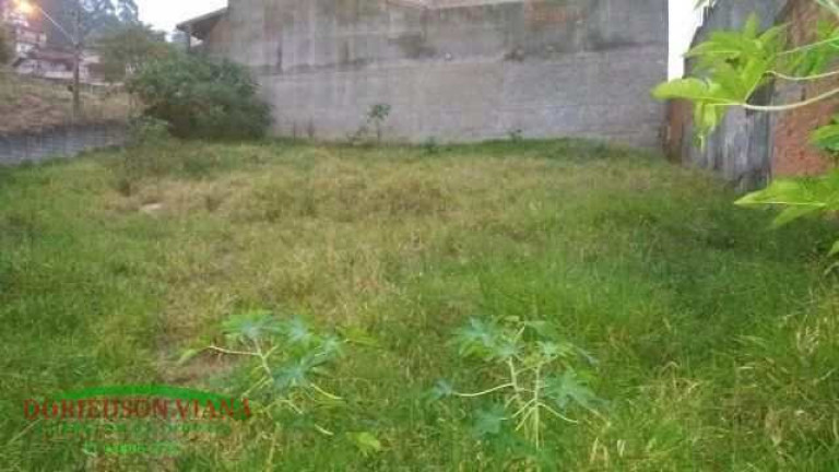 Imagem Terreno à Venda, 440 m² em Parque Continental - Guarulhos