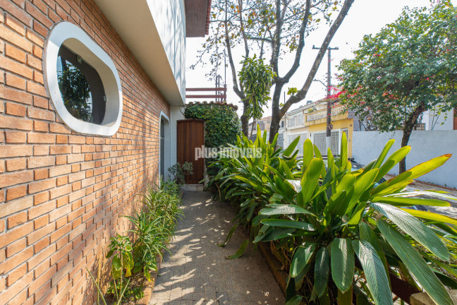 Imagem Casa com 4 Quartos à Venda, 265 m² em Butantã - São Paulo Imagem Casa com 4 Quartos à Venda, 265 m² em Butantã - São Paulo