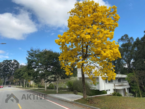 Imagem Casa de Condomínio com 4 Quartos à Venda, 900 m² em Tamboré - Barueri Imagem Casa de Condomínio com 4 Quartos à Venda, 900 m² em Tamboré - Barueri