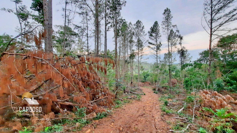 Imagem Fazenda à Venda, 46.000 m² em águas Claras - Viamão Imagem Fazenda à Venda, 46.000 m² em águas Claras - Viamão