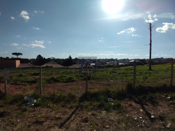 Imagem Terreno à Venda, 9.139 m² em Campo Pequeno - Colombo Imagem Terreno à Venda, 9.139 m² em Campo Pequeno - Colombo