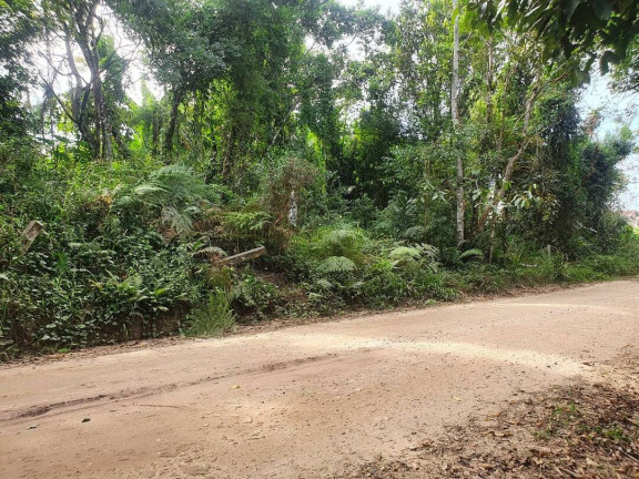 Imagem Terreno à Venda, 418 m² em Costeira - Balneário Barra Do Sul Imagem Terreno à Venda, 418 m² em Costeira - Balneário Barra Do Sul