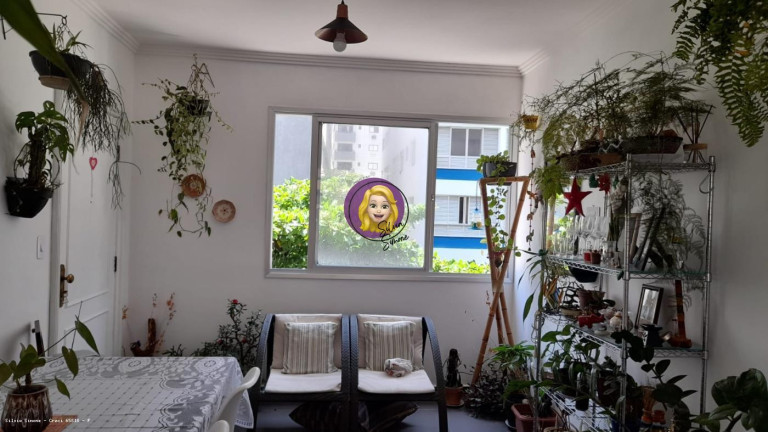 Imagem Apartamento com 3 Quartos à Venda,  em Itararé - São Vicente