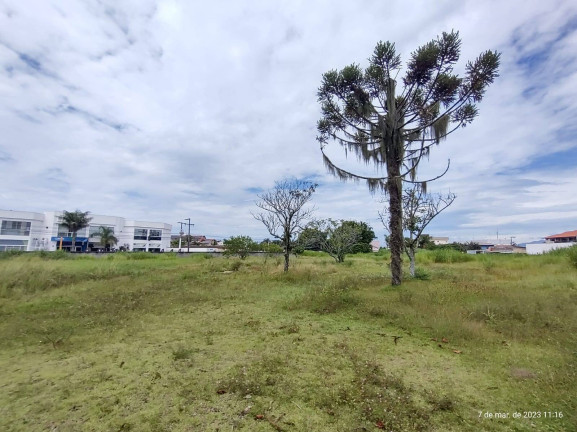Imagem Terreno à Venda, 7 m² em Centro - Tijucas Imagem Terreno à Venda, 7 m² em Centro - Tijucas