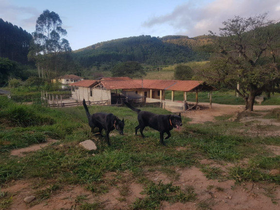 Imagem Fazenda à Venda, 500 m² em Centro - Paraibuna Imagem Fazenda à Venda, 500 m² em Centro - Paraibuna