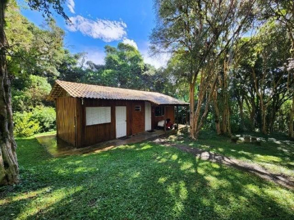 Imagem Imóvel com 3 Quartos à Venda, 51.000 m² em Campo Largo Da Roseira - São José Dos Pinhais Imagem Imóvel com 3 Quartos à Venda, 51.000 m² em Campo Largo Da Roseira - São José Dos Pinhais