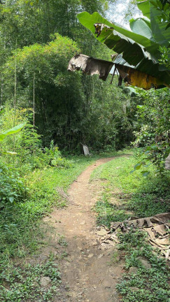 Imagem Chácara com 1 Quarto à Venda, 60 m² em Igrejinha - Itariri Imagem Chácara com 1 Quarto à Venda, 60 m² em Igrejinha - Itariri