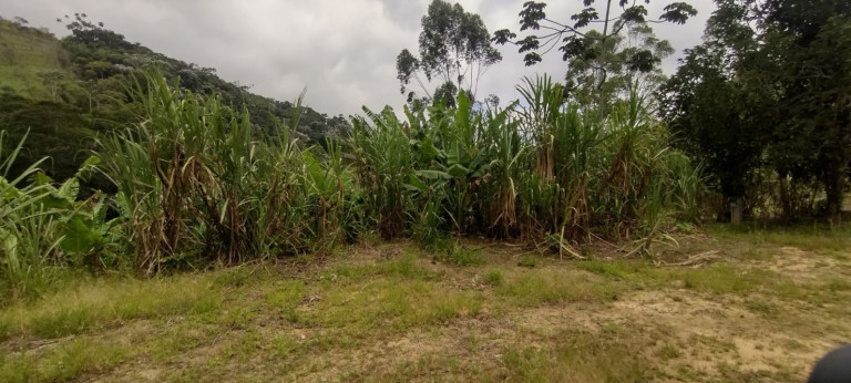Imagem Chácara com 1 Quarto à Venda, 100 m² em Catuçaba - São Luíz Do Paraitinga Imagem Chácara com 1 Quarto à Venda, 100 m² em Catuçaba - São Luíz Do Paraitinga