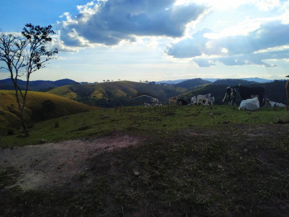 Imagem Imóvel com 3 Quartos à Venda, 1.210.000 m² em Catioca - Cunha Imagem Imóvel com 3 Quartos à Venda, 1.210.000 m² em Catioca - Cunha