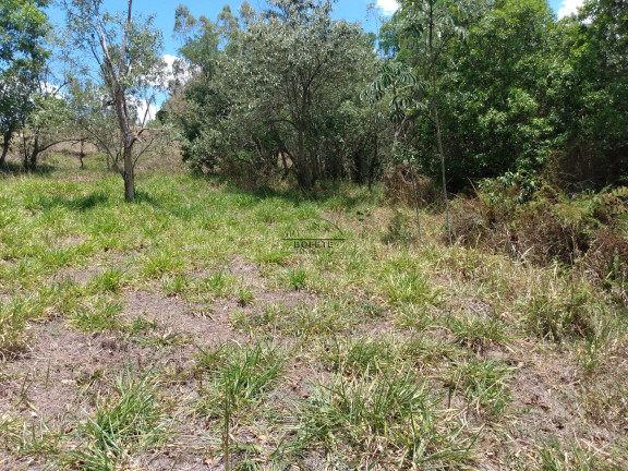 Imagem Imóvel à Venda, 48.000 m² em São Marcos - Bofete Imagem Imóvel à Venda, 48.000 m² em São Marcos - Bofete