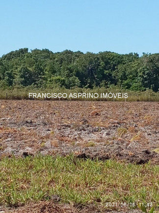 Imagem Imóvel com 2 Quartos à Venda, em Rural - Canavieiras Imagem Imóvel com 2 Quartos à Venda, em Rural - Canavieiras