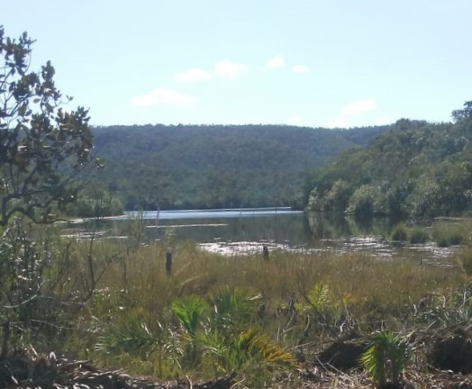 Imagem Imóvel à Venda,  em Região Central Do Tocantins - Pedro Afonso