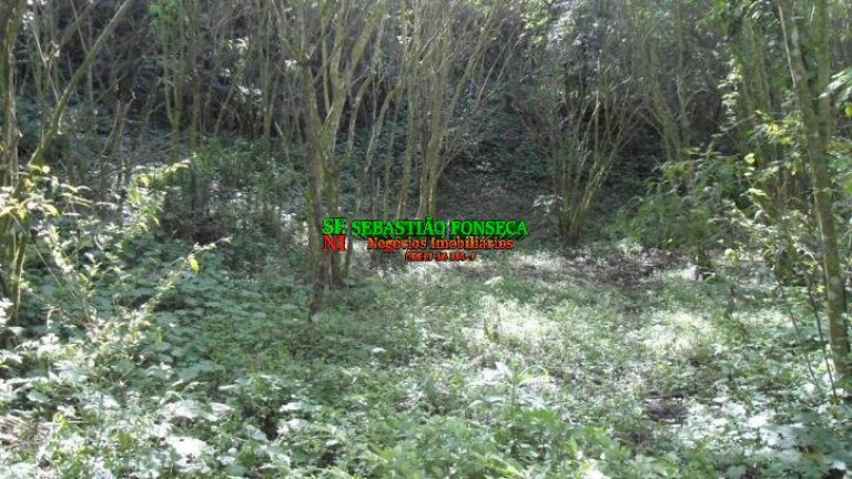 Imagem Chácara à Venda, 72.600 m² em São Francisco Xavier - São José Dos Campos Imagem Chácara à Venda, 72.600 m² em São Francisco Xavier - São José Dos Campos