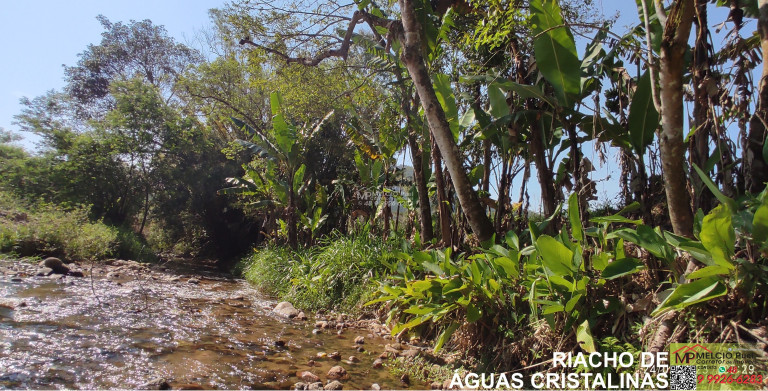 Imagem Imóvel à Venda,  em Loro, Salto Do Major - Major Gercino