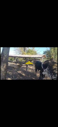 Imagem Fazenda à Venda, 67 m² em Rural - Itapetininga Imagem Fazenda à Venda, 67 m² em Rural - Itapetininga