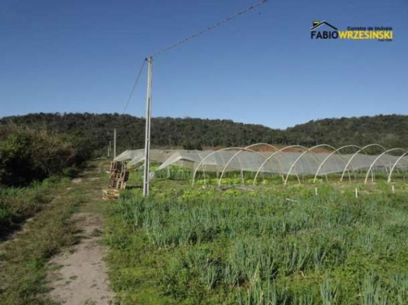 Imagem Terreno à Venda, 50.000 m² em Barra Itapocú - Araquari