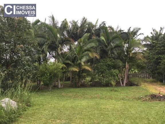 Imagem Terreno à Venda, 13.817 m² em Arraial Dos Cunhas - Itajaí Imagem Terreno à Venda, 13.817 m² em Arraial Dos Cunhas - Itajaí