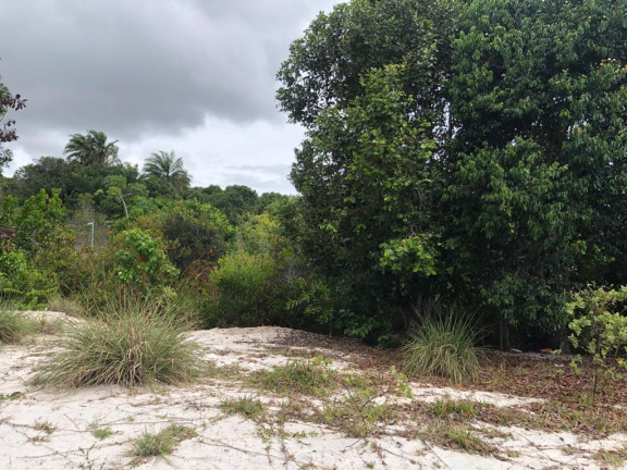 Terreno à Venda, 700 m² em Praia Do Forte - Mata De São João