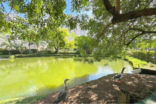 Imagem Casa de Condomínio com 2 Quartos à Venda, 126 m² em Vila Nova - Porto Alegre Imagem Casa de Condomínio com 2 Quartos à Venda, 126 m² em Vila Nova - Porto Alegre