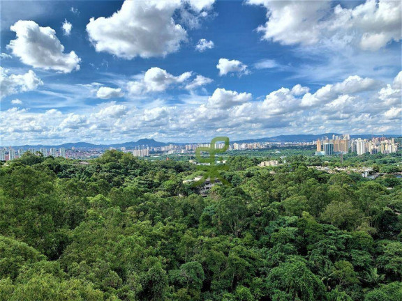 Imagem Apartamento com 4 Quartos à Venda, 140 m² em Vila Indiana - São Paulo