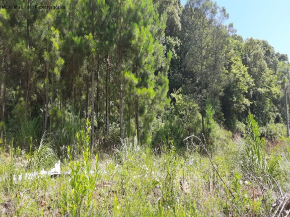 Imagem Terreno à Venda, 429 m² em Linha Imperial - Nova Petrópolis