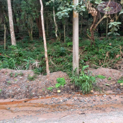 Imagem Terreno à Venda, 3.504 m² em Represa - Ribeirão Pires