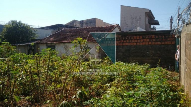 Imagem Terreno para Alugar, em Campos Eliseos - Ribeirão Preto Imagem Terreno para Alugar, em Campos Eliseos - Ribeirão Preto