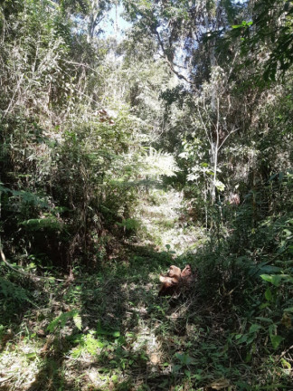 Imagem Imóvel à Venda, em São Francisco Xavier - São José Dos Campos Imagem Imóvel à Venda, em São Francisco Xavier - São José Dos Campos