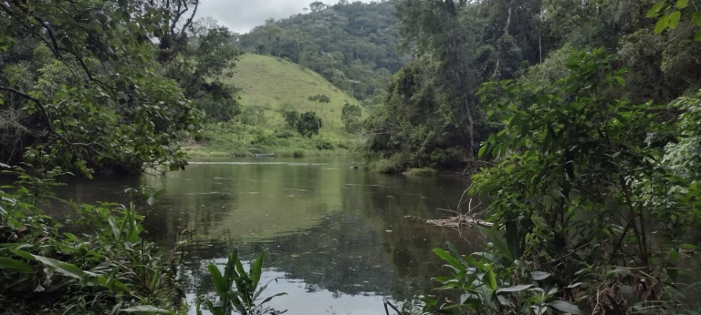 Chácara com 1 Quarto à Venda, 100 m² em Catuçaba - São Luíz Do Paraitinga