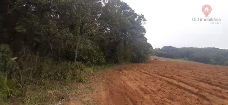 Imagem Imóvel à Venda, 98.000 m² em Piedade - Piedade