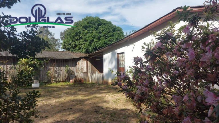Imagem Chácara com 4 Quartos à Venda, 5.000 m² em Viamão Imagem Chácara com 4 Quartos à Venda, 5.000 m² em Viamão