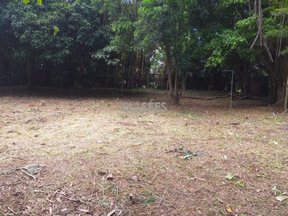 Imagem Imóvel à Venda, em Chácara Flora - São Paulo Imagem Imóvel à Venda, em Chácara Flora - São Paulo
