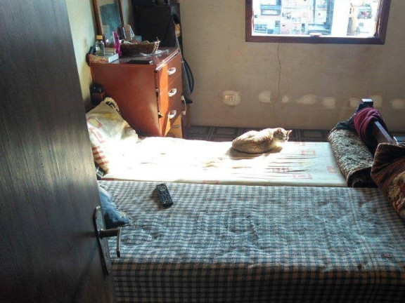 Imagem Casa com 2 Quartos à Venda, 196 m² em Jardim Irene - Santo André