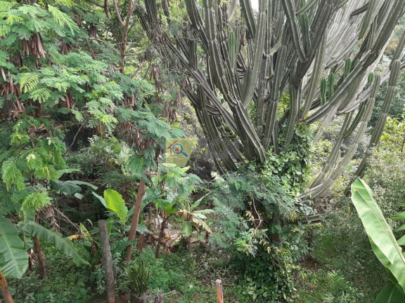 Imagem Imóvel com 4 Quartos à Venda, 300 m² em Parque Valinhos - Valinhos