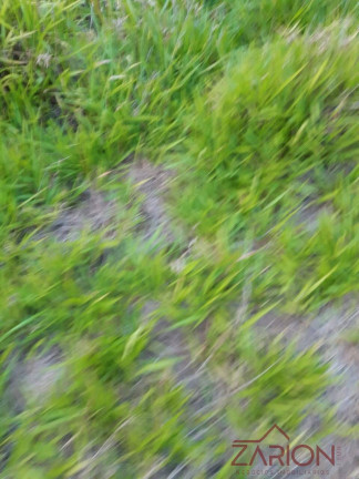 Imagem Chácara à Venda, 2.000 m² em Santa Luzia Rural - Taubaté Imagem Chácara à Venda, 2.000 m² em Santa Luzia Rural - Taubaté