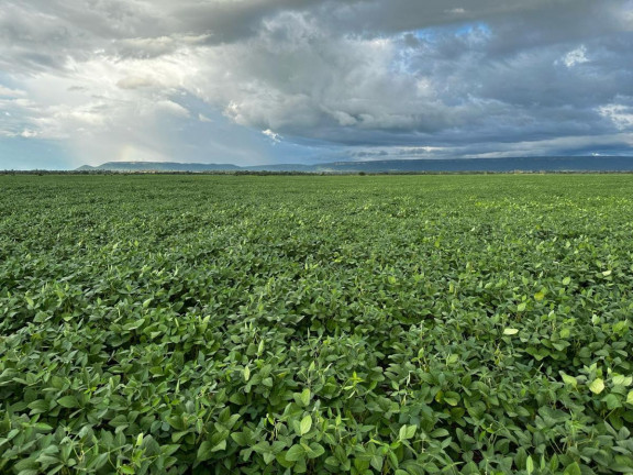 Imagem Fazenda à Venda, 9.700 m² em Rural - Pontes E Lacerda