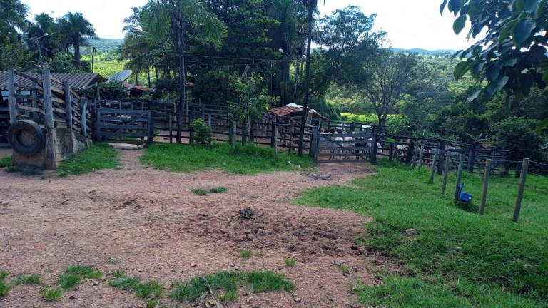 Imagem Fazenda à Venda, 23 m² em Zona Rural - Caldas Novas Imagem Fazenda à Venda, 23 m² em Zona Rural - Caldas Novas