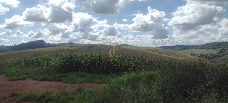 Imagem Fazenda à Venda, 100 m² em Centro - Aiuruoca Imagem Fazenda à Venda, 100 m² em Centro - Aiuruoca