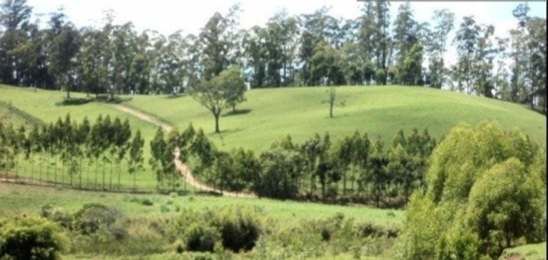 Imagem Fazenda à Venda, 300 m² em Centro - Guaratinguetá Imagem Fazenda à Venda, 300 m² em Centro - Guaratinguetá