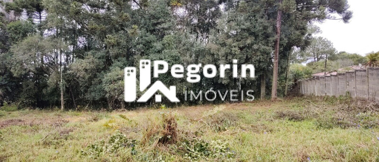 Imagem Terreno à Venda, 6.325 m² em Jardim Cláudia - Pinhais