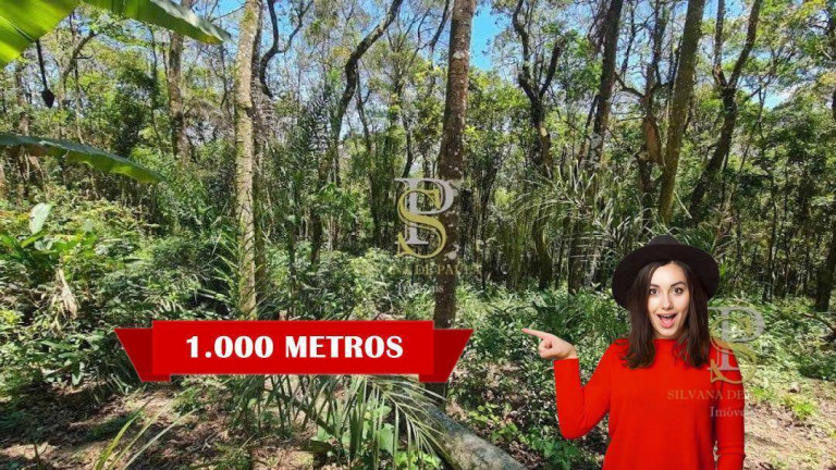 Imagem Terreno à Venda, 1.000 m² em Mato Dentro - Mairiporã Imagem Terreno à Venda, 1.000 m² em Mato Dentro - Mairiporã