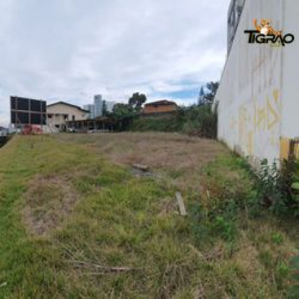 Imagem Terreno à Venda, 1.000 m² em Iririú - Joinville Imagem Terreno à Venda, 1.000 m² em Iririú - Joinville