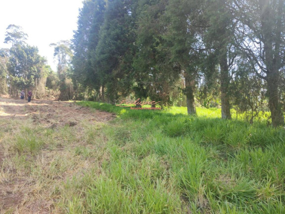 Imagem Chácara à Venda, 2.000 m² Imagem Chácara à Venda, 2.000 m²