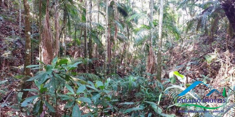 Imagem Chácara à Venda, 155 m² em Centro - Paraisópolis Imagem Chácara à Venda, 155 m² em Centro - Paraisópolis