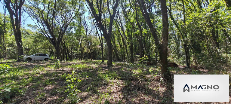 Imagem Chácara à Venda, 20 m² em Coqueiral - Cascavel