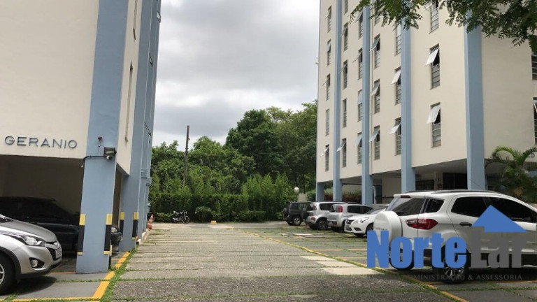 Imagem Apartamento com 2 Quartos à Venda, 49 m² em Parque Mandaqui - São Paulo Imagem Apartamento com 2 Quartos à Venda, 49 m² em Parque Mandaqui - São Paulo