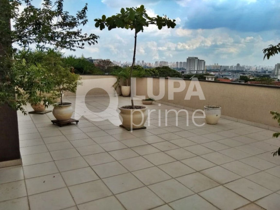 Imagem Imóvel Comercial à Venda, 503 m² em Vila Maria Alta - São Paulo Imagem Imóvel Comercial à Venda, 503 m² em Vila Maria Alta - São Paulo